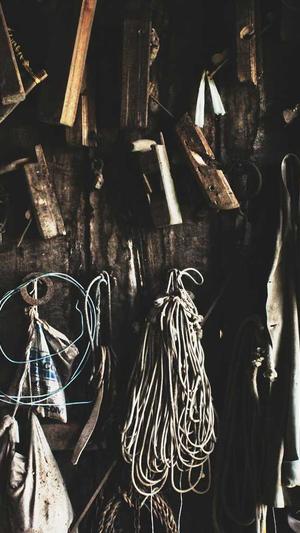 鄂州有瓜吃截图3